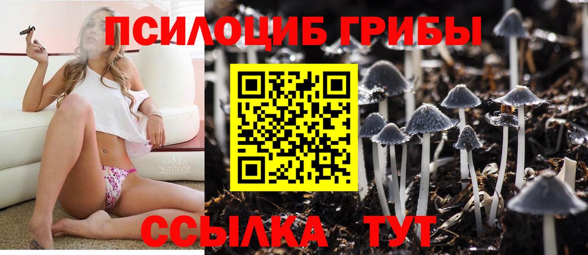 Галлюциногенные грибы Cubensis  Псилоцибиновые грибы Psilocybine cubensis  Вход с VPN  Ульяновск 